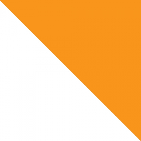 Wachsplatten  200 x 100 x 0,5 mm mais 2 Stk.