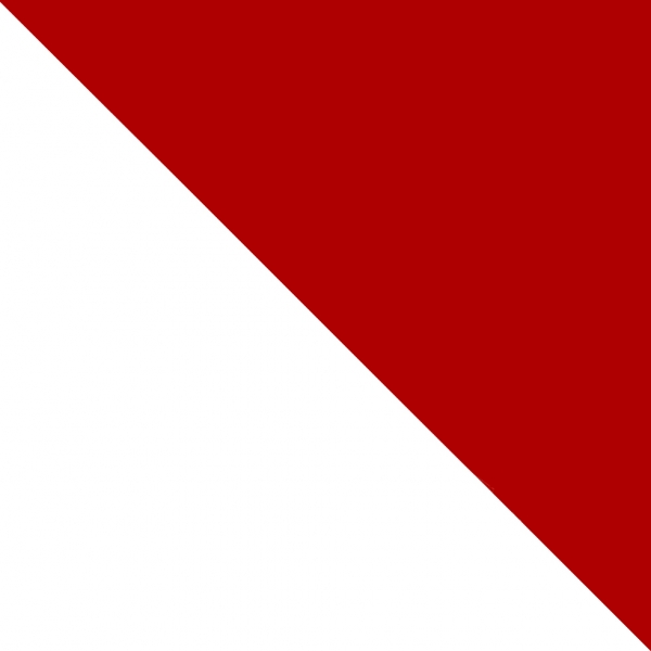 Wachsplatten  200 x 100 x 0,5 mm karminrot 2 Stk.