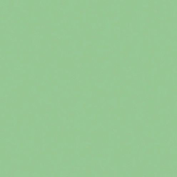 Wachsplatten  200 x 100 x 0,5 mm  pastellgrün 2 Stk.