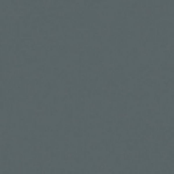 Wachsplatten  200 x 100 x 0,5 mm  grau 2 Stk.