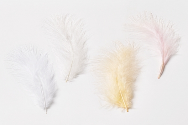 Truthahn-Federn ca. 15 cm, rose, Btl à 5 St