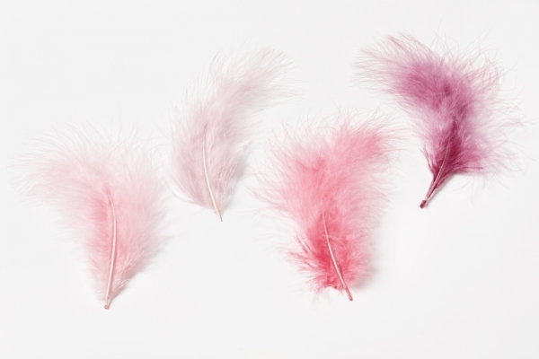 Truthahn-Federn ca. 15 cm, flamingo, Btl à 5 St