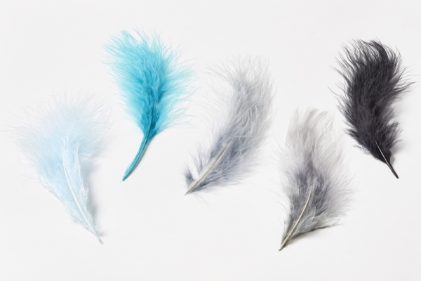 Truthahn-Federn ca. 15 cm, türkis, Btl à 5 St