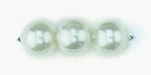 Wachs-Glasperle 10 mm weiß 20 St.